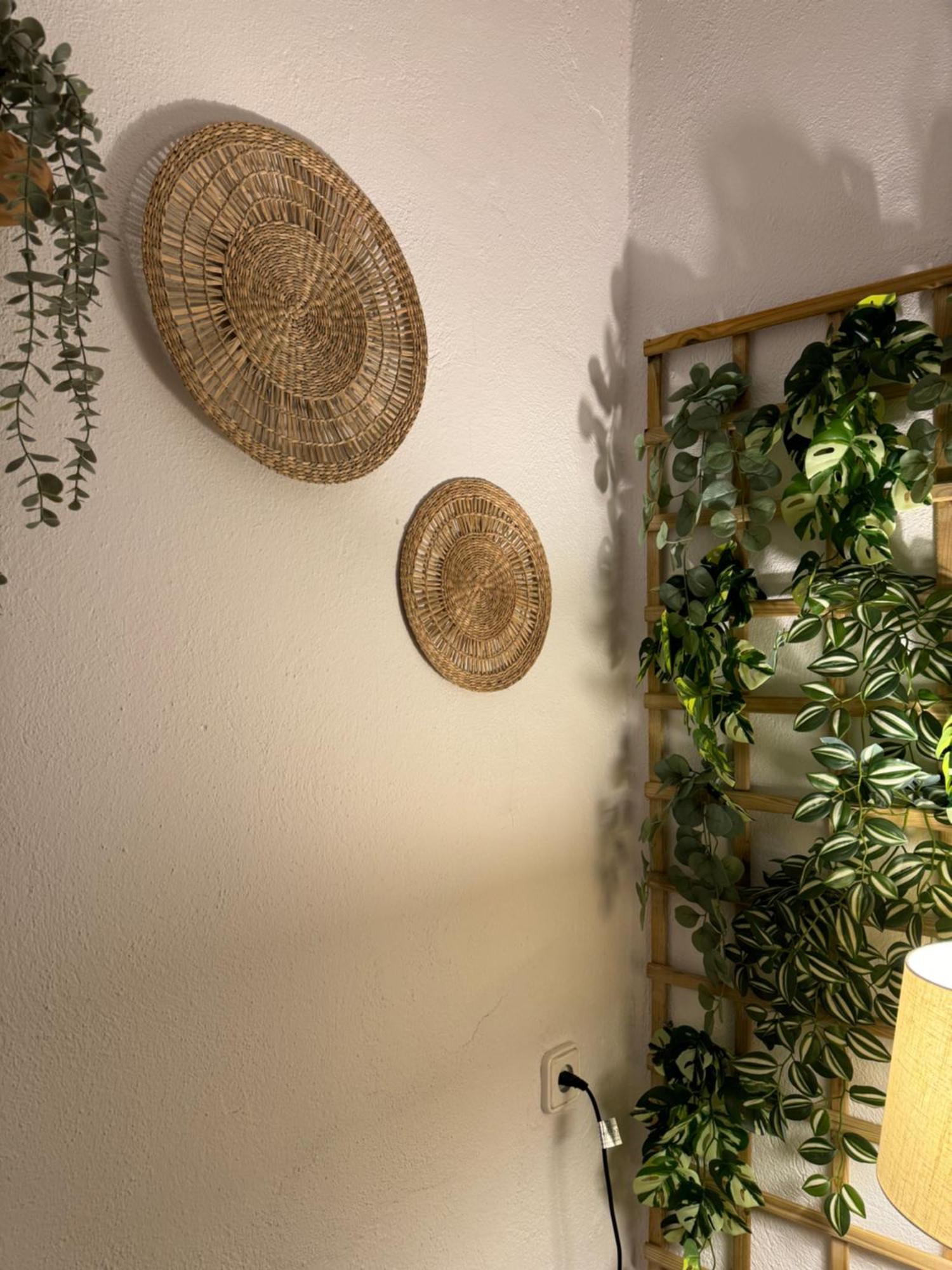 Garden Suites Xativa Casa Rural Kültér fotó